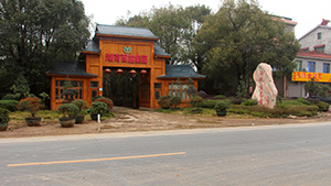 香蕉视频网址園香蕉视频网址園基地