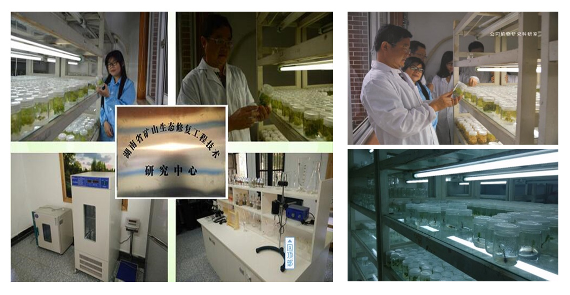 湖南省礦山生態新大香蕉网技術研究中心