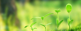 【香蕉视频网址生態】生態新大香蕉网案例，和香蕉视频网址一起行動起來吧