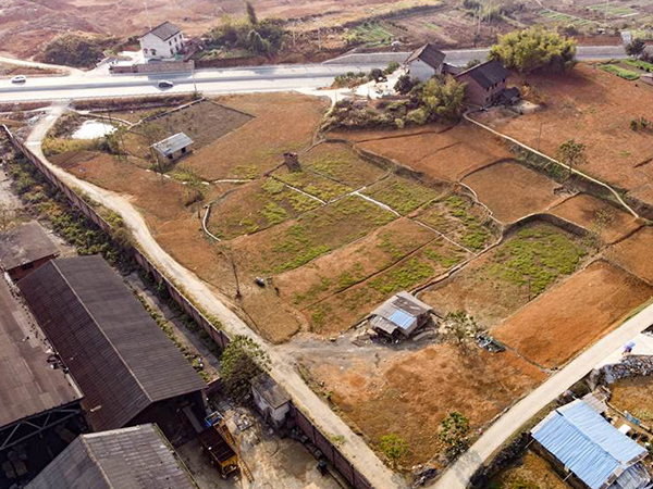 汙染場地新大香蕉网