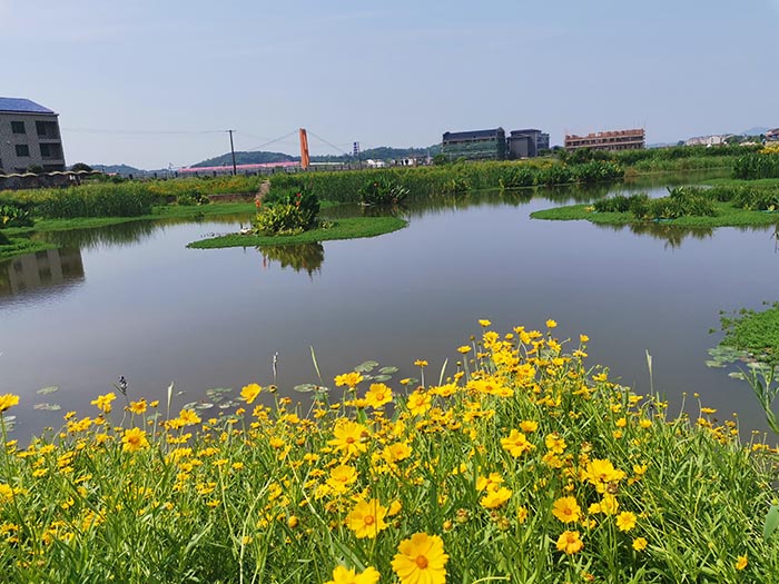 衡陽縣蒸水流域山水林田湖草生態保護新大香蕉网工程試點項目
