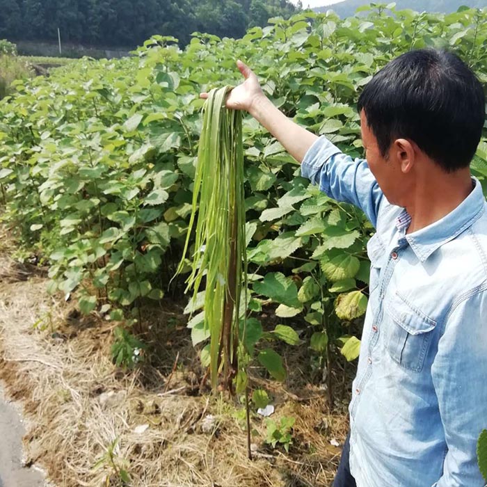 貴州省銅仁市生態新大香蕉网與精準扶貧示範區