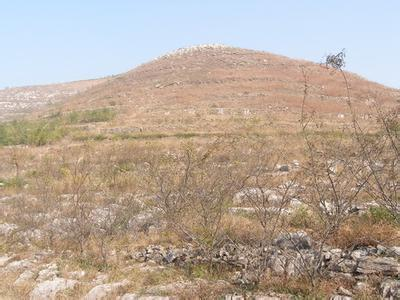 益陽市泥江口石子塘礦山生態新大香蕉网——國家油茶林示範基地
