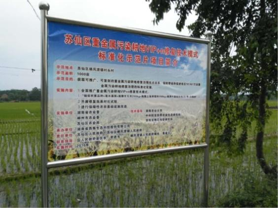 湖南省郴州市蘇仙區千畝農田鎘汙染新大香蕉网項目