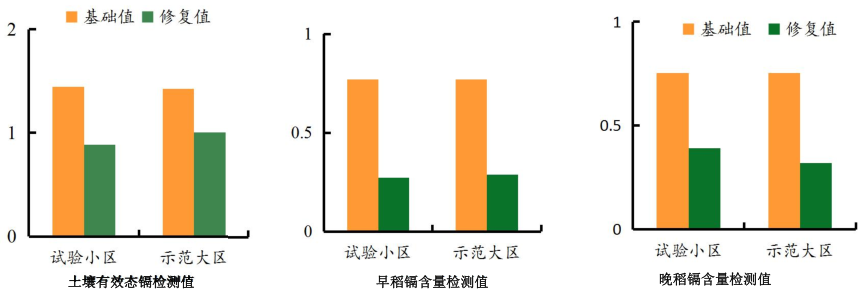 湖南省郴州市蘇仙區千畝農田鎘汙染新大香蕉网項目