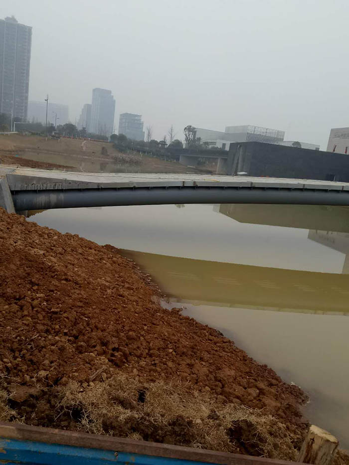 洋湖濕地生態新大香蕉网與保育工程